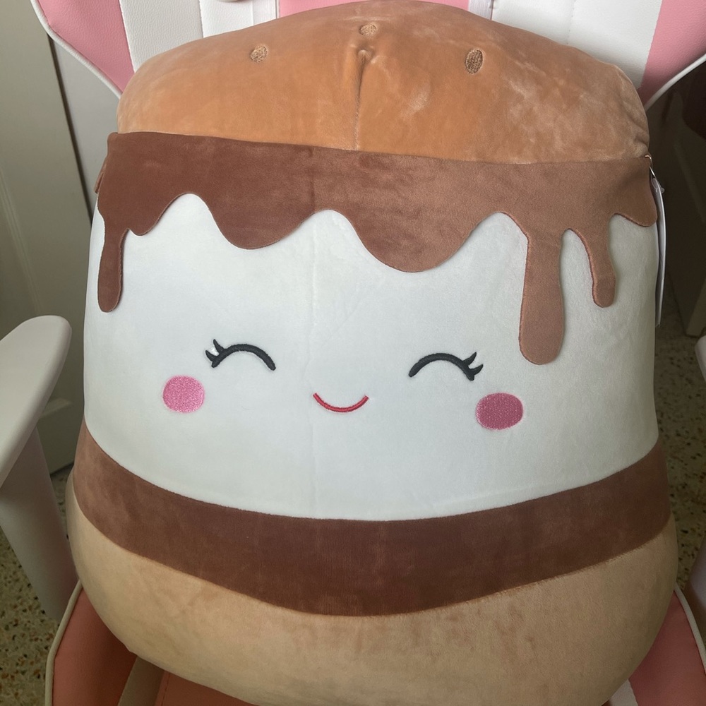 BRAND NEW RARE SQUISHMALLOW SMORES
